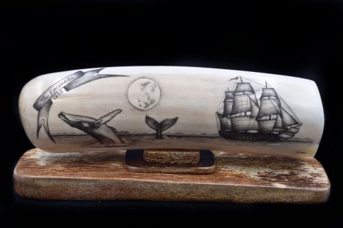 THE ENCOUNTER SHIP SCRIMSHAW